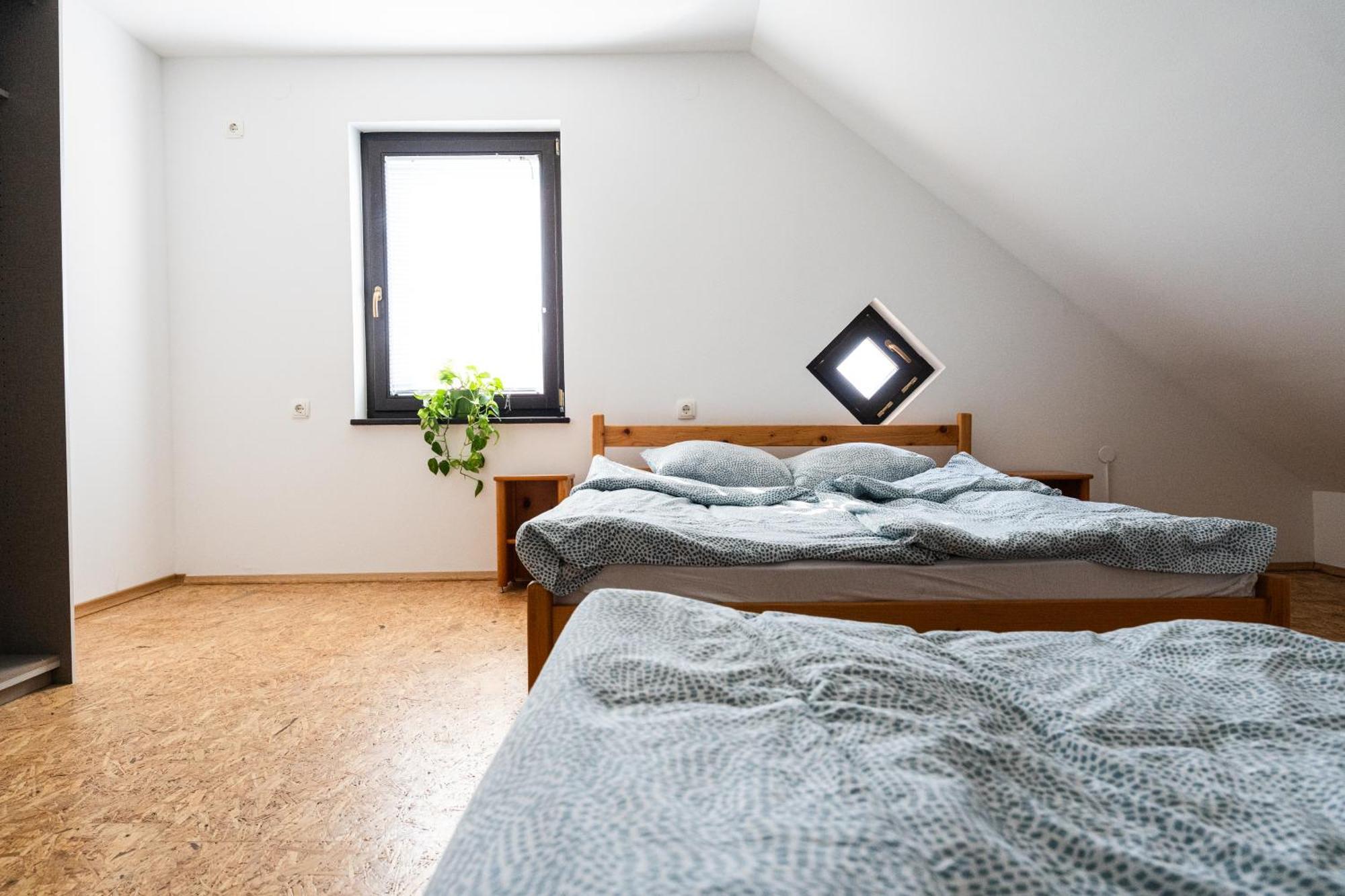 Adventure Farm Bed & Breakfast Store Eksteriør bilde